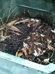 Processo di decomposizione nel composter